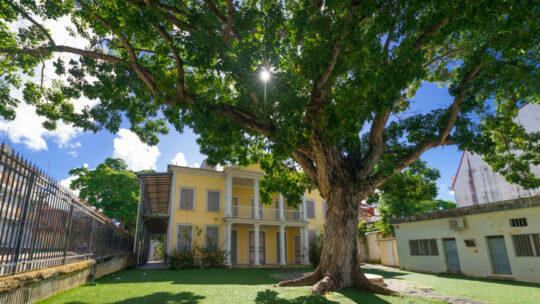 Tour Culturel de Pointe à Pitre