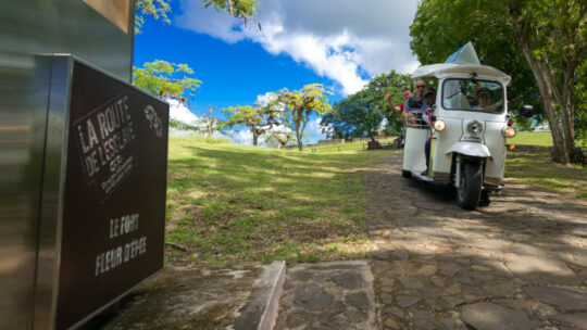 Fort fleur d'épée TukTuk